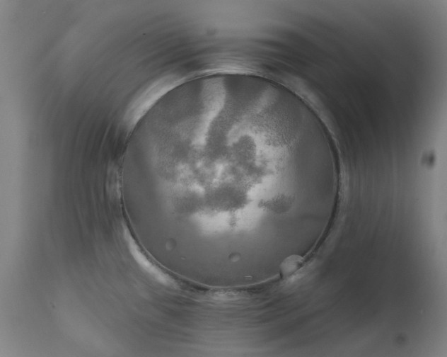 X0000111241433200907091349
