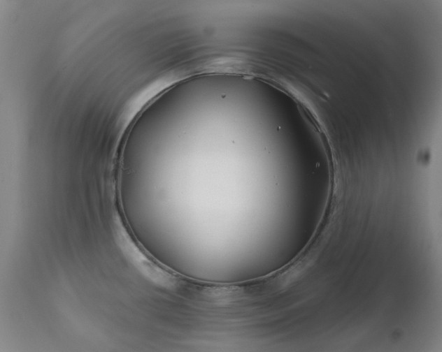 X0000111241434200907091349