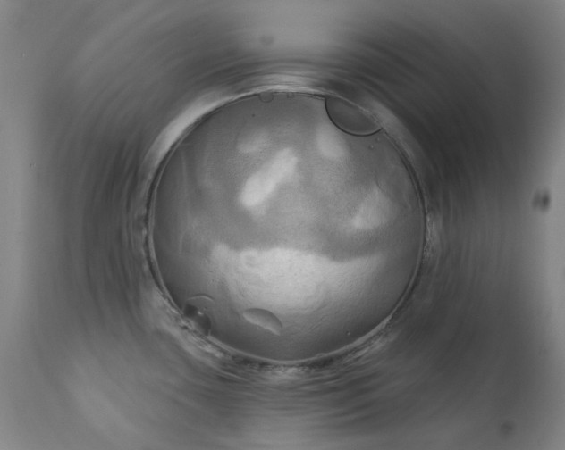 X0000111241435200907091349