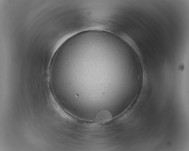 X0000111241436200907091349