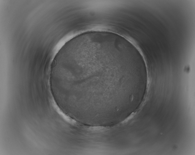 X0000111241437200907091349