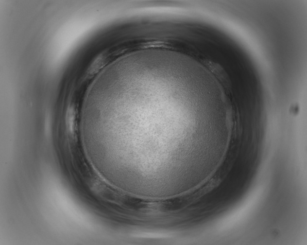 X0000111241438200907091349