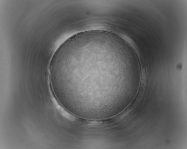 X0000111241439200907091349