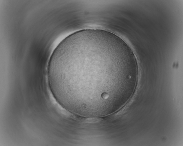 X0000111241440200907091349
