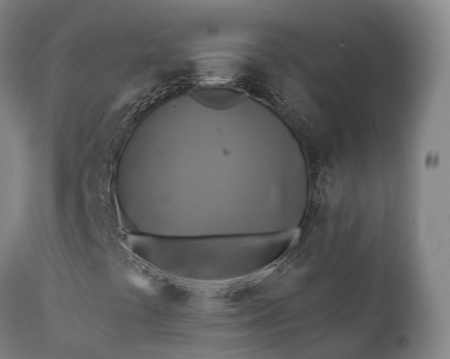 X0000111241441200907091348
