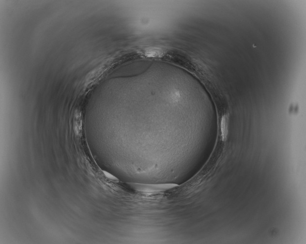 X0000111241443200907091348