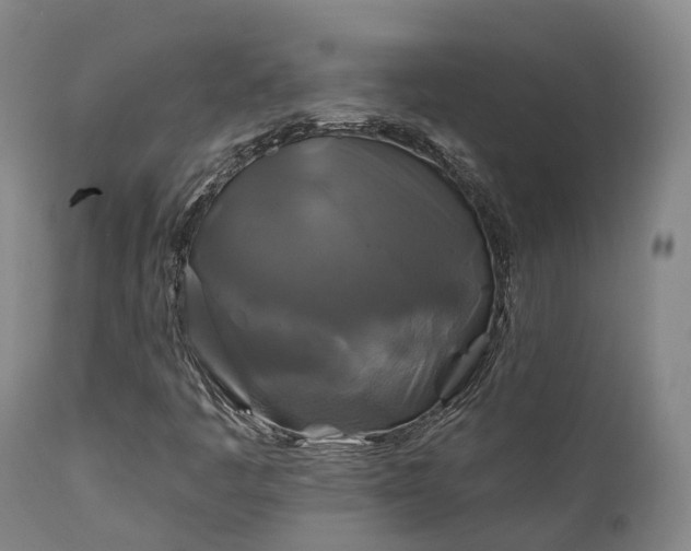 X0000111241445200907091348