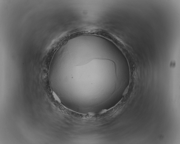 X0000111241447200907091348