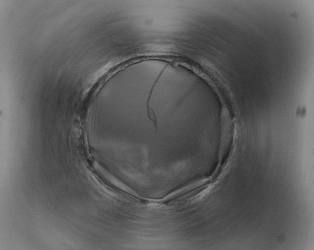X0000111241449200907091348