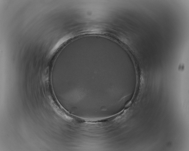 X0000111241450200907091348