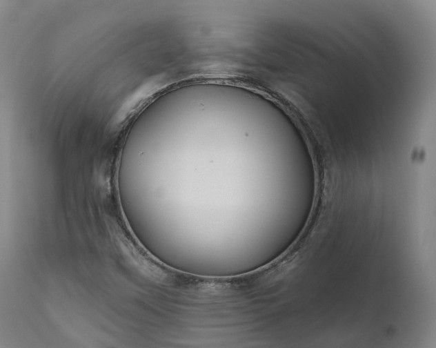 X0000111241451200907091348