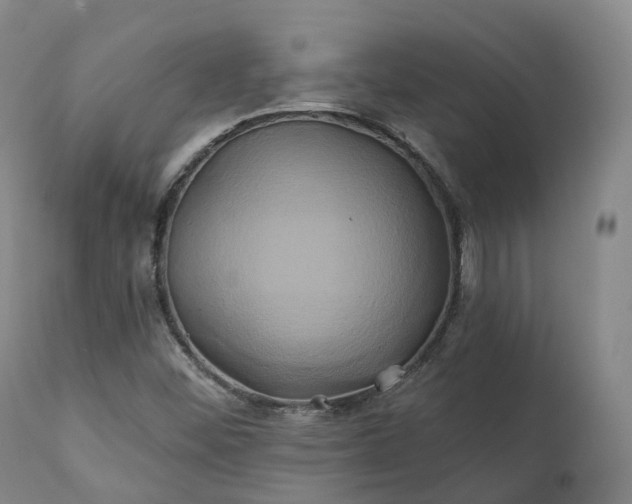 X0000111241452200907091348