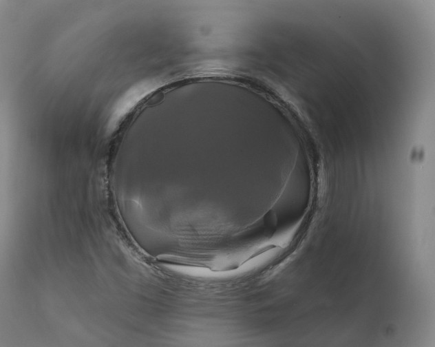X0000111241453200907091348