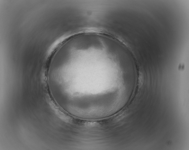 X0000111241454200907091348