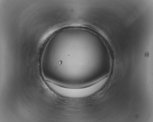 X0000111241456200907091348
