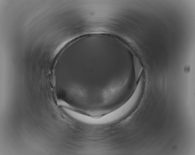 X0000111241457200907091348
