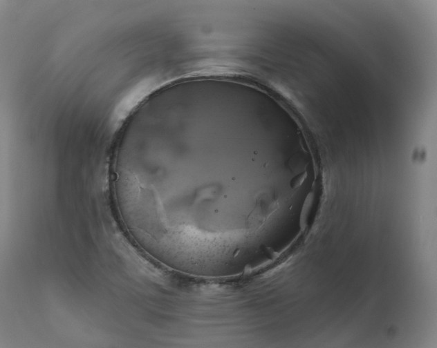 X0000111241459200907091348