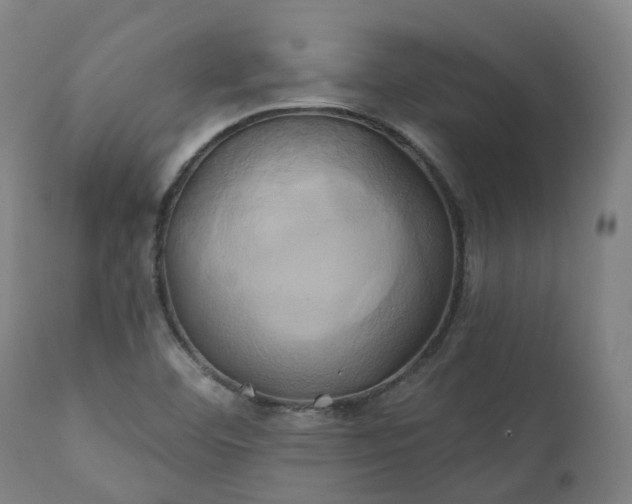 X0000111241460200907091348