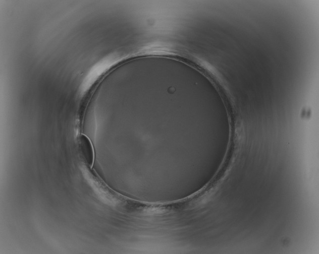 X0000111241461200907091348