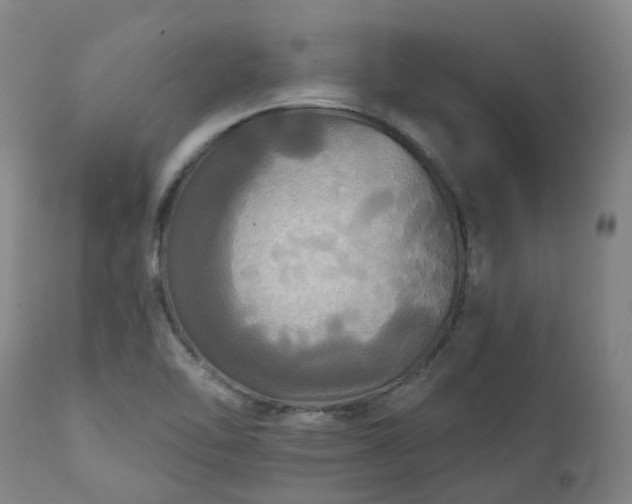 X0000111241462200907091348