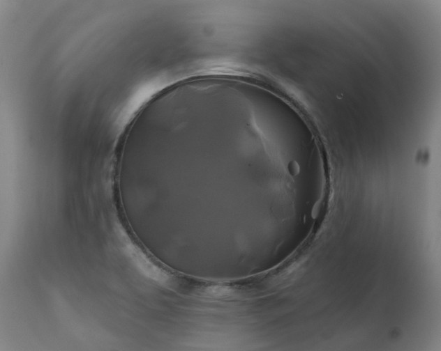X0000111241463200907091348