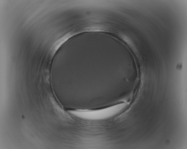 X0000111241465200907091347