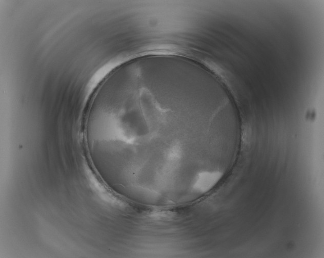 X0000111241466200907091347