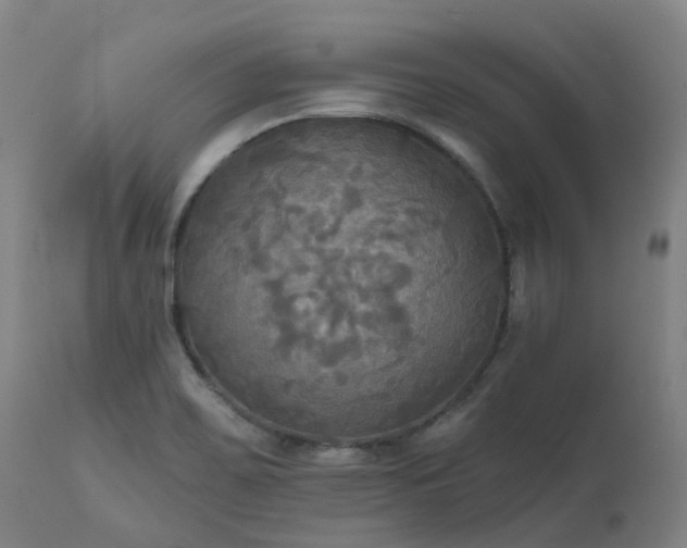 X0000111241467200907091347
