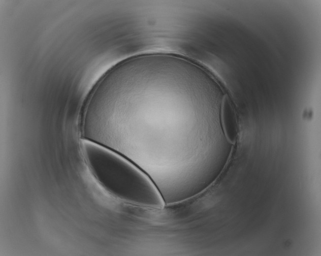 X0000111241468200907091347