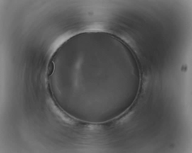 X0000111241469200907091347