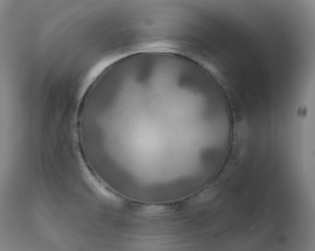 X0000111241470200907091347