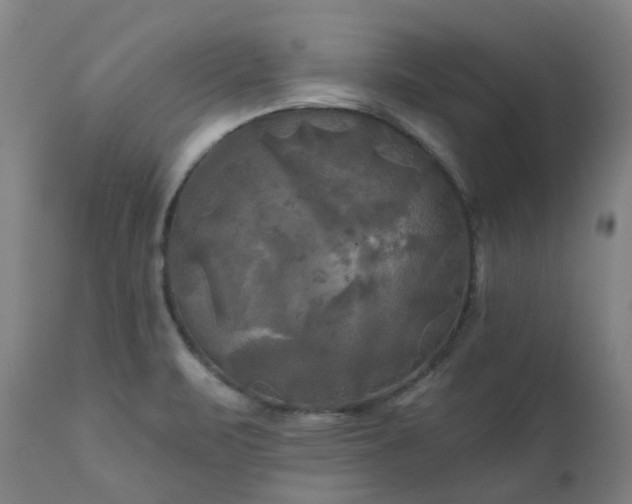 X0000111241471200907091347