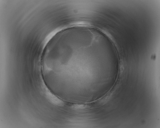 X0000111241474200907091347