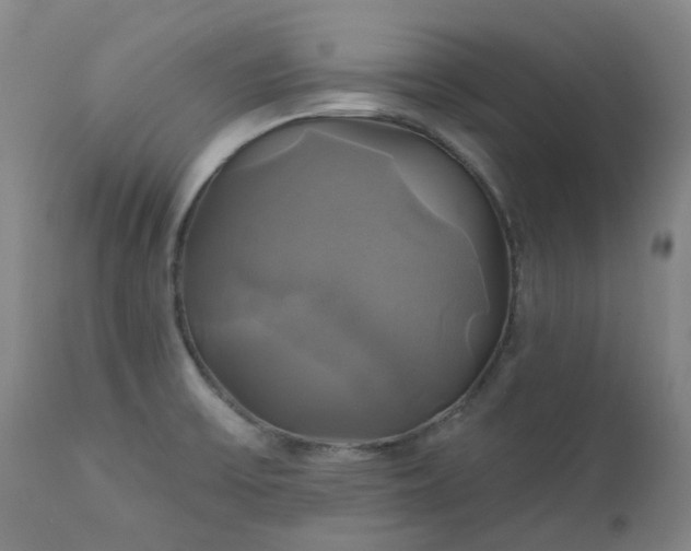 X0000111241475200907091347