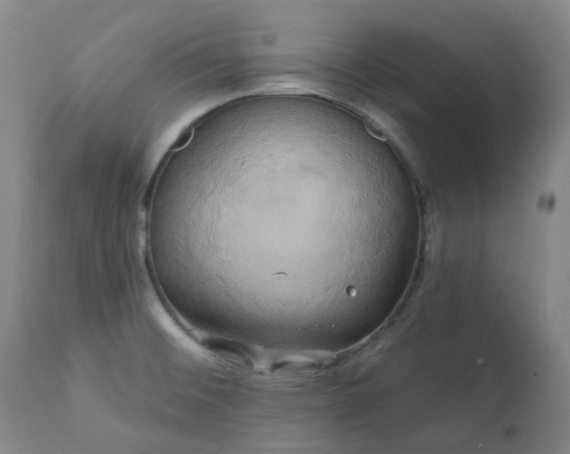 X0000111241476200907091347