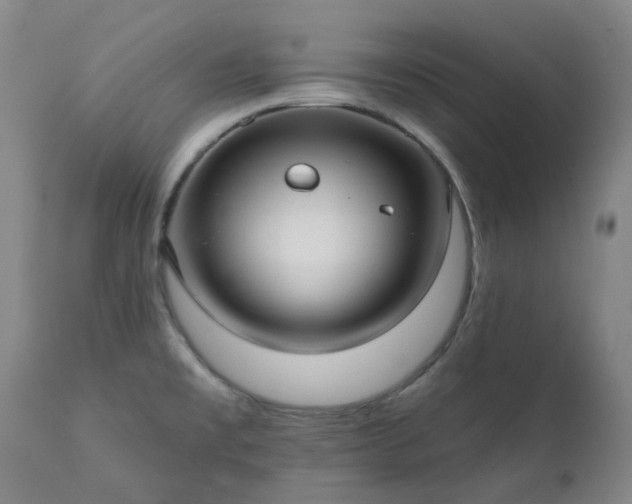 X0000111241477200907091347
