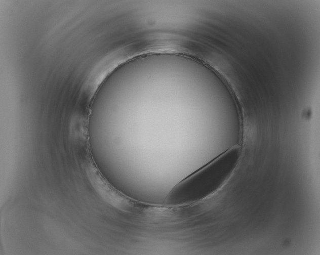 X0000111241481200907091347