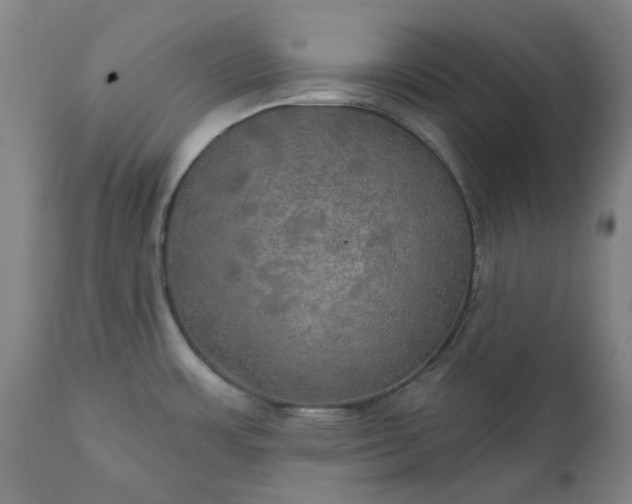 X0000111241483200907091347