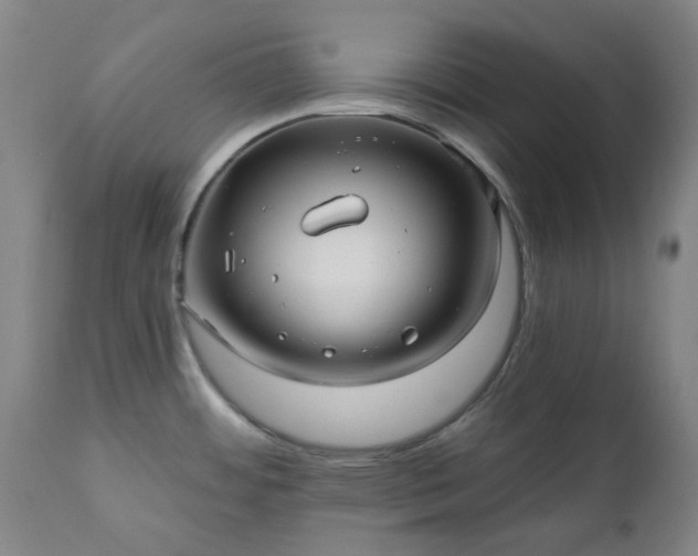 X0000111241484200907091347