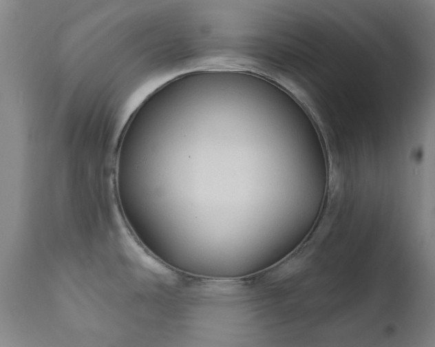 X0000111241486200907091347