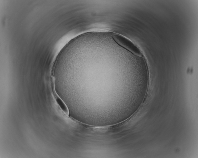 X0000111241488200907091347