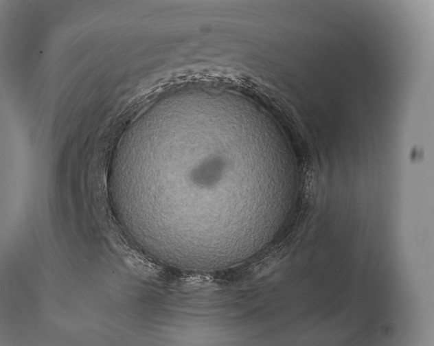 X0000111241489200907091346
