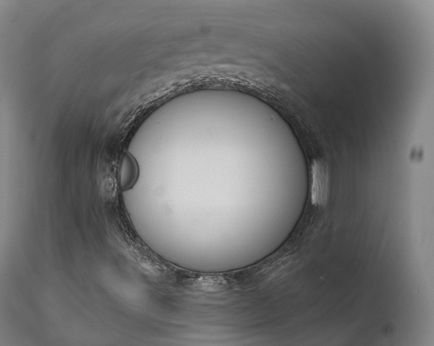 X0000111241491200907091346