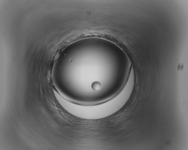 X0000111241492200907091346