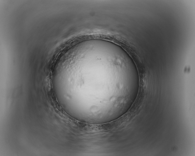 X0000111241493200907091346