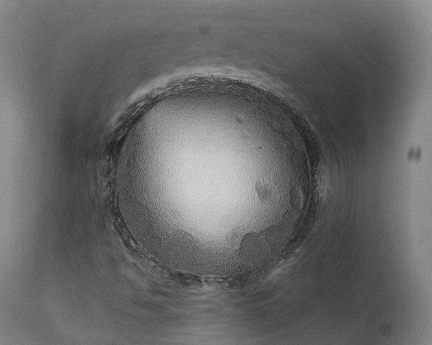 X0000111241494200907091346