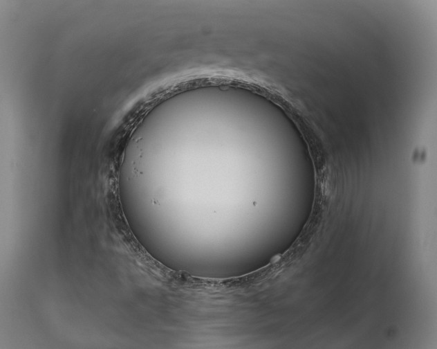 X0000111241495200907091346