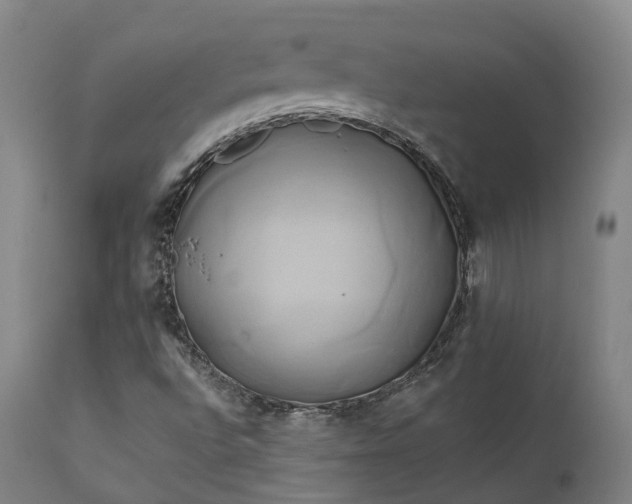 X0000111241496200907091346