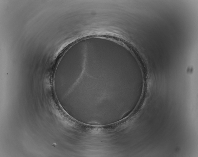 X0000111241497200907091346