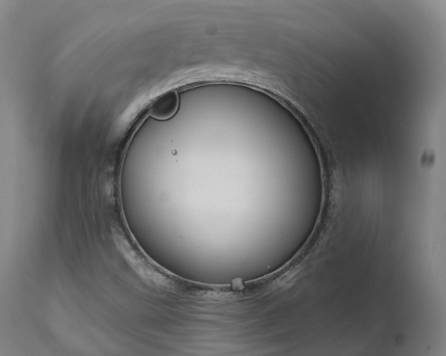 X0000111241499200907091346